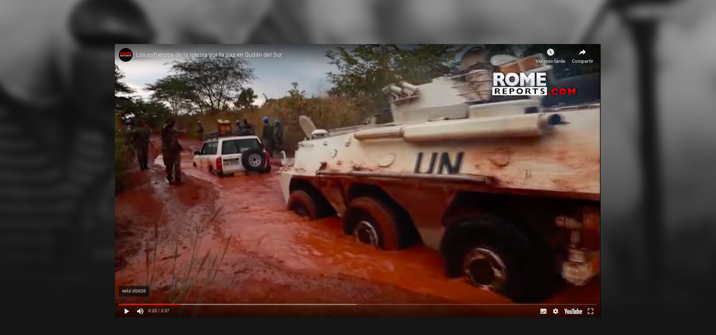 Del Vaticano y del mundo (autorizados por Rome Reports TV News Agency)