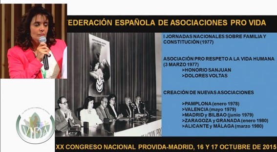 Federación Española de Asociaciones Provida: Nuestra identidad e historia